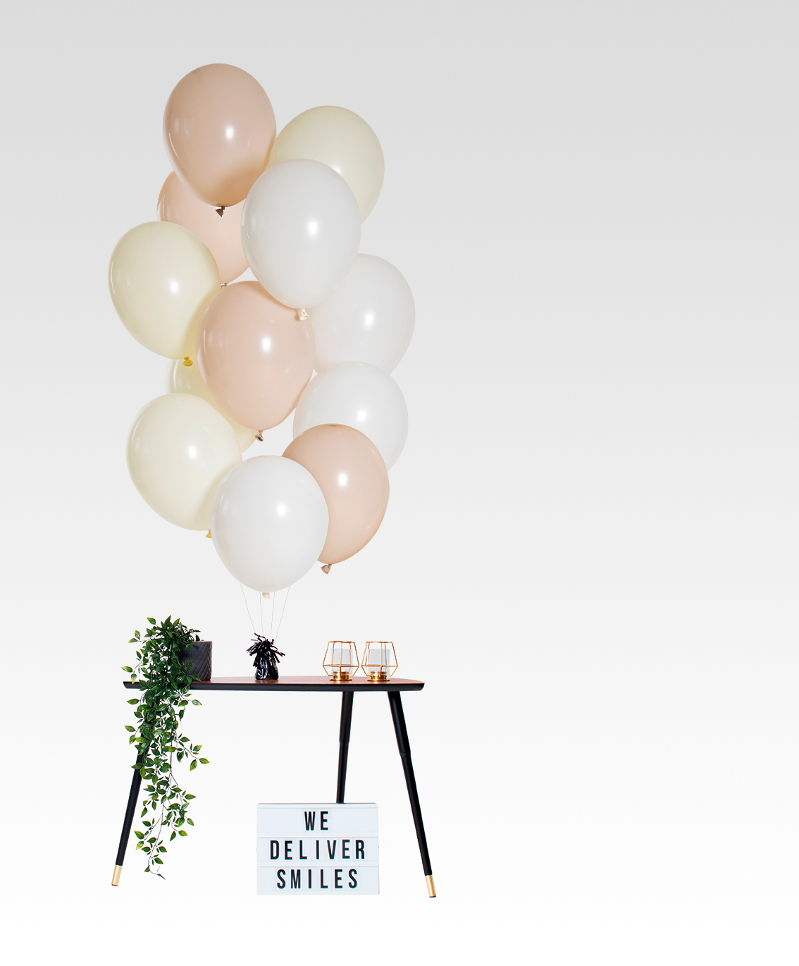 Balloons soft powder x 12