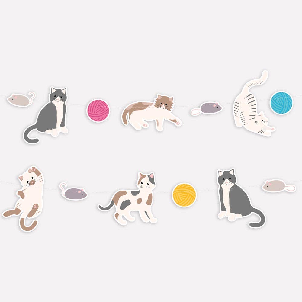 Kitty Party Box