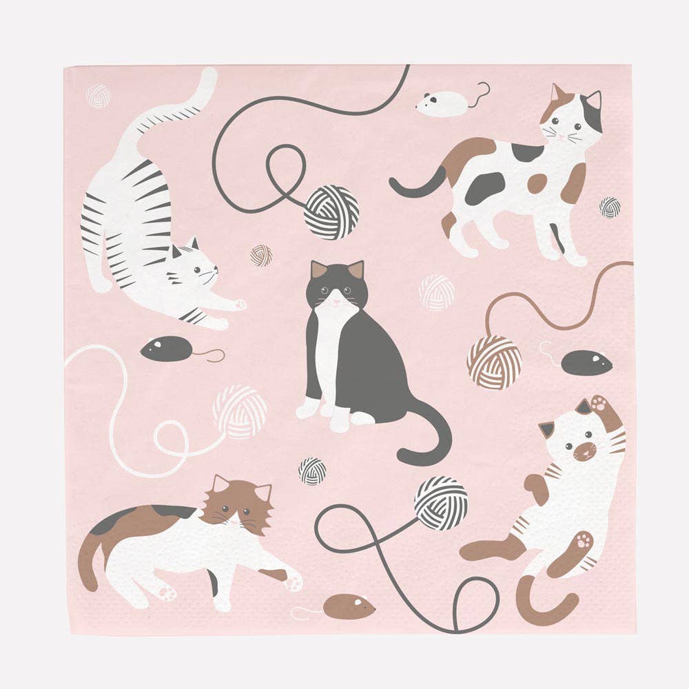 Kitty Party Box